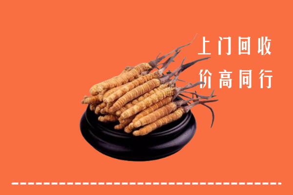 高价求购：达州达川回收散虫草