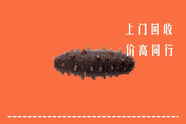 高价求购：达州达川回收海参
